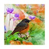Trademark Fine Art Ata Alishahi 'Bird Collection 30' Canvas Art, 18x18 ALI22462-C1818GG